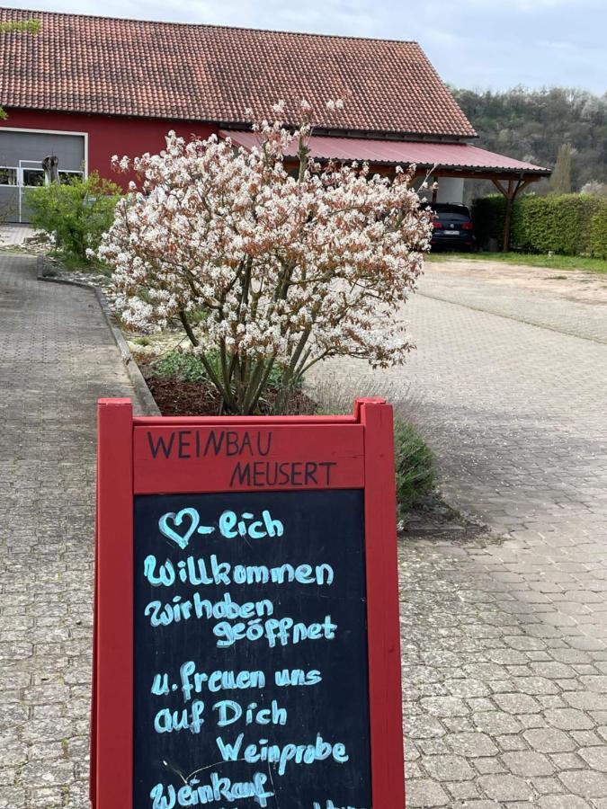 Weinbau & Pension - Familie Birgit Und Bernhard Meusert Volkach Exterior foto